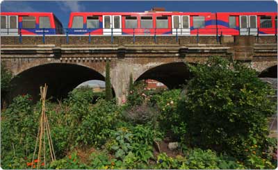 Foto, James Potter: agricultura urbana comunitária em área pública de Londres