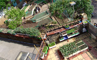 Space 2 (SOAS) after