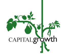 Capital Growth