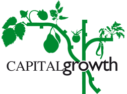 Capital Growth